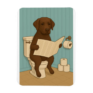 Imán Labrador de chocolate leyendo periódico sobre inod