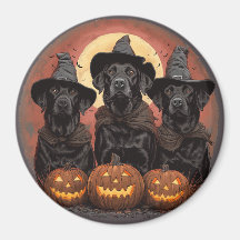Labrador de Halloween perro Gorras de brujas