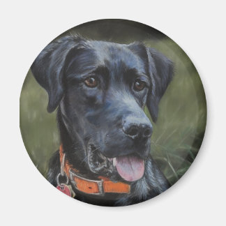 Imán Labrador Negro