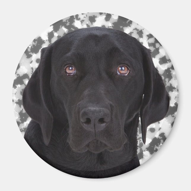 Imán Labrador negro (Frente)