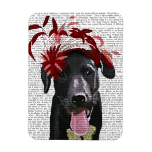 Imán Labrador Negro Con Fascinador Rojo