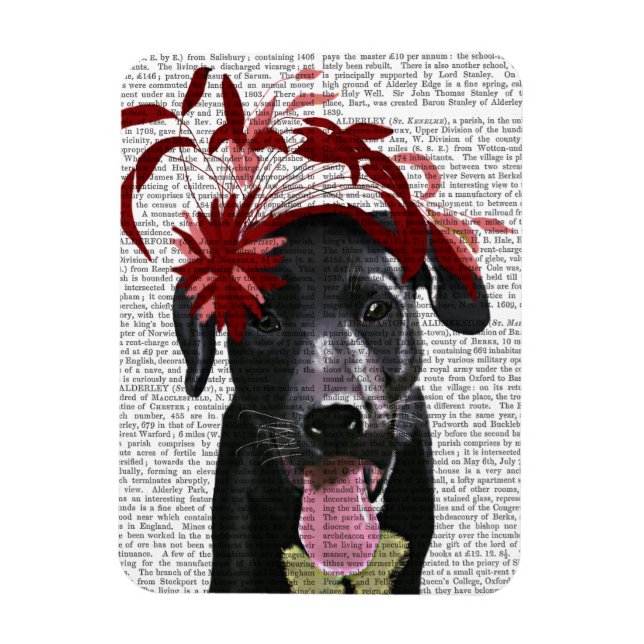 Imán Labrador Negro Con Fascinador Rojo (Vertical)