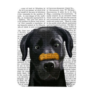 Imán Labrador negro con huesos en la nariz