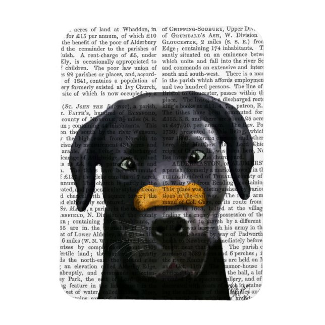 Imán Labrador negro con huesos en la nariz (Vertical)