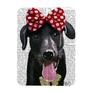 Imán Labrador Negro Con Ojo Rojo En La Cabeza