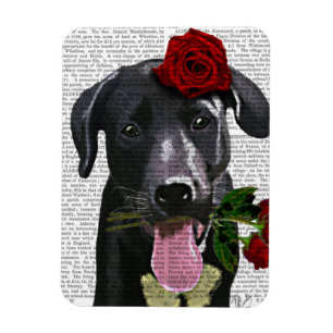 Imán Labrador negro con Rosas