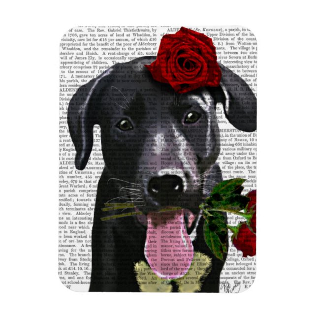 Imán Labrador negro con Rosas (Vertical)