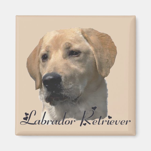 Imán Labrador Recuperador Regalos Yellow Lab Art (Frente)
