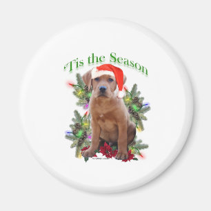 Imán Labrador Retriever