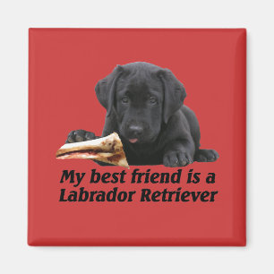 Imán "labrador retriever "