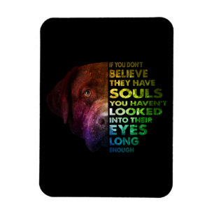 Imán Labrador Retriever looked Into Their Eye Dog Lover