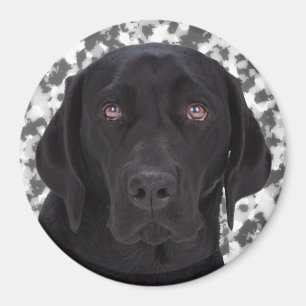 Imán Labrador retriever negro