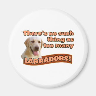 IMÁN LABRADOR RETRIEVERS
