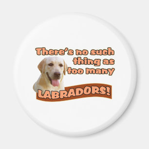 IMÁN LABRADORES RETRIEVERES