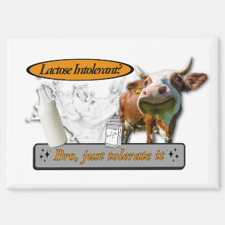 Imán Lactose Intolerant? Just Tolerate It