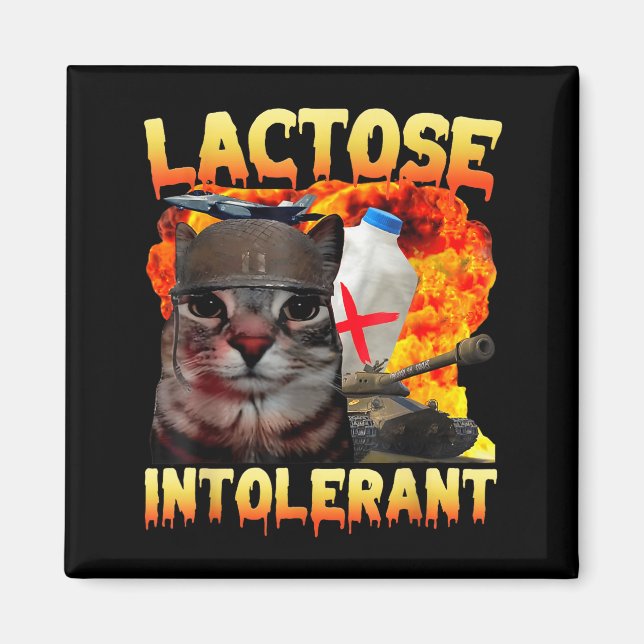 Imán Lactose Intolerant Silly Cat Meme Funny Saying Cat (Frente)