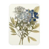 Lacy Leaves - Flores y vegetación