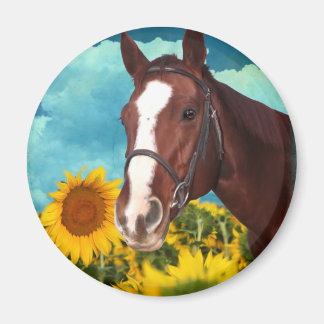 Imán Lacy the Chestnut Mare - Caballo de Jen Geraghty