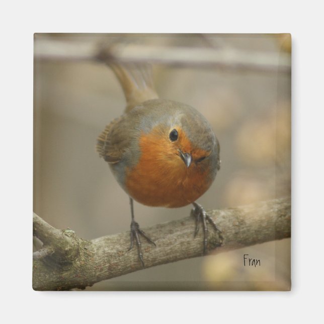 Imán ladrón (Frente)