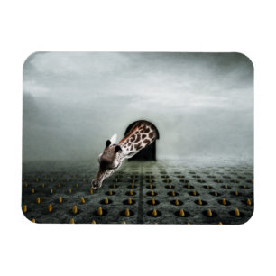 Imán ladrón de tulipán 2 2013