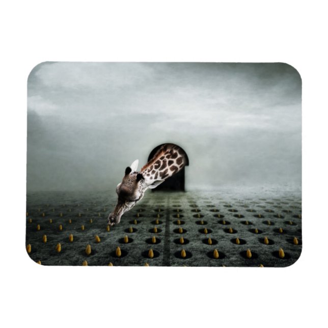 Imán ladrón de tulipán 2 2013 (Horizontal)