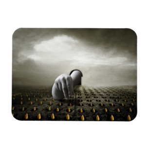 Imán Ladrón de tulipanes 2013