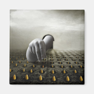 Imán Ladrón de tulipanes 2013