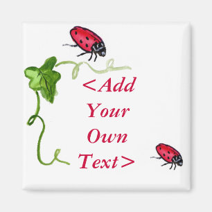 Imán Lady Bug Magnet