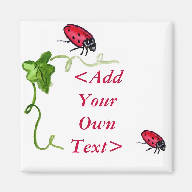 Imán Lady Bug Magnet (Frente)