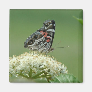 Imán Lady Butterfly pintada