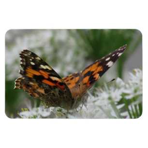 Imán Lady Butterfly pintada
