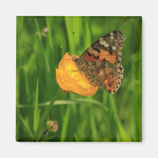 Imán Lady Butterfly pintada