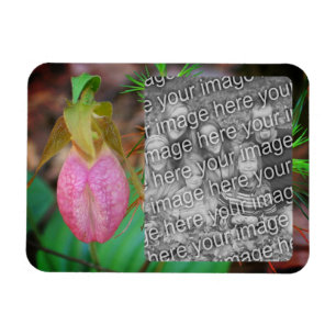 Imán Lady Slipper Orchid Frame Añadir la foto