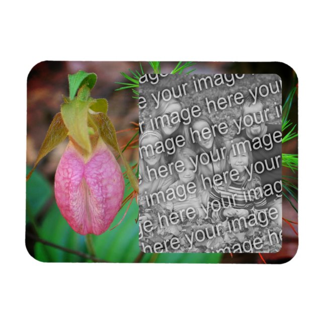 Imán Lady Slipper Orchid Frame Añadir la foto (Horizontal)