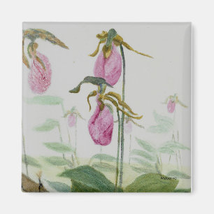 Imán Lady Slippers Magnet
