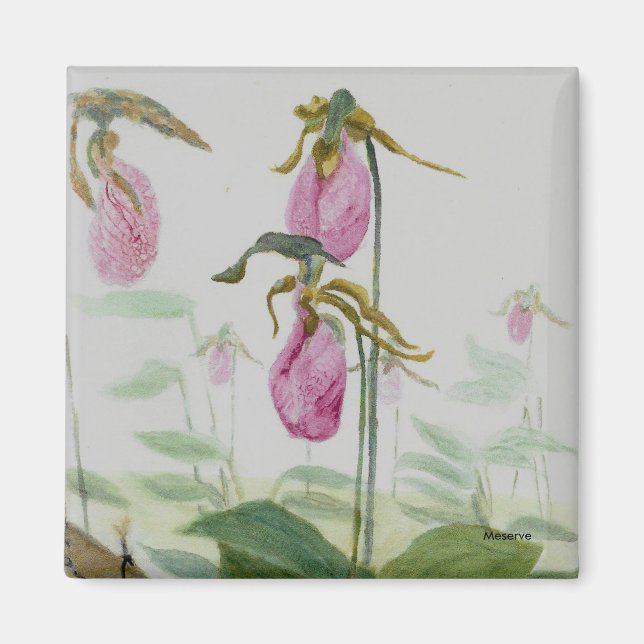 Imán Lady Slippers Magnet (Frente)