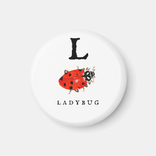 Imán Ladybug