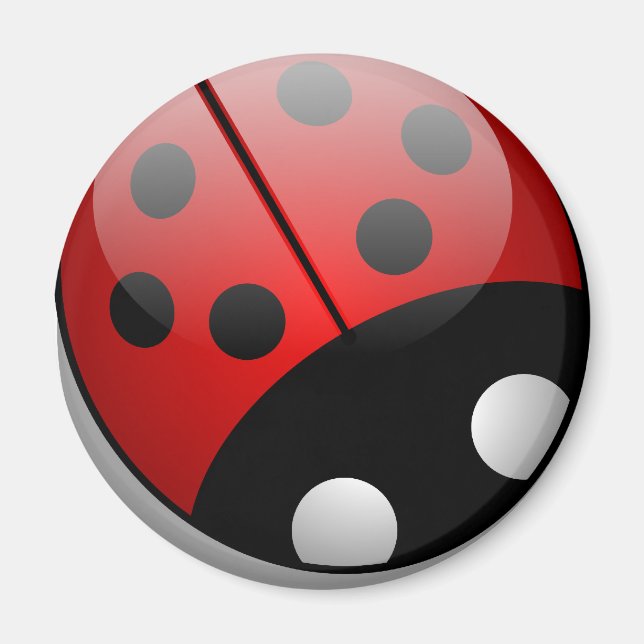 Imán Ladybug (Frente)