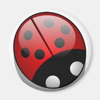 Imán Ladybug