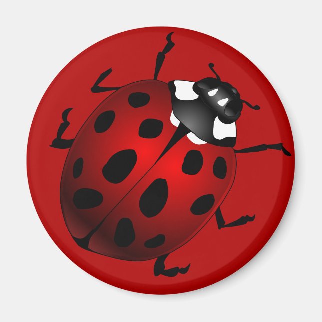 Imán Ladybug Art Magnet Ladybird Ladybug Frids (Frente)