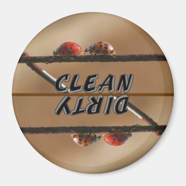 Imán Ladybug Buddy Animal Dishlava (Frente)