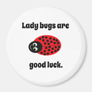 Imán Ladybug, buena suerte