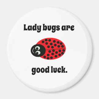 Imán Ladybug, buena suerte