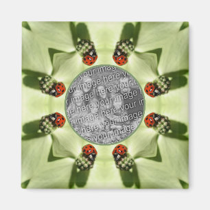 Imán Ladybug En Dogwood Nature Añada Su Foto