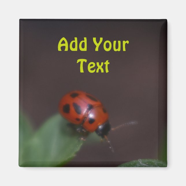 Imán Ladybug en Flores (Frente)