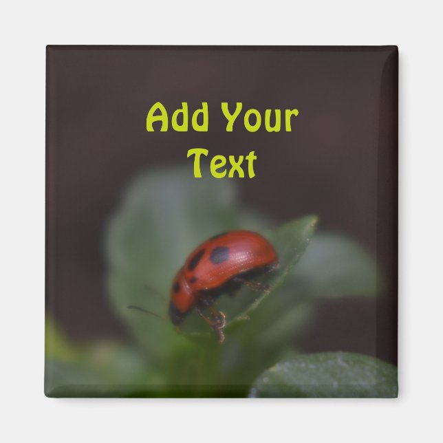 Imán Ladybug en Flores (Frente)