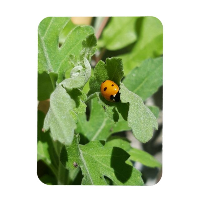 Imán Ladybug en Flores (Vertical)