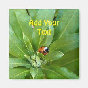 Imán Ladybug en Flores