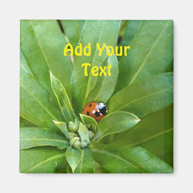 Imán Ladybug en Flores (Frente)