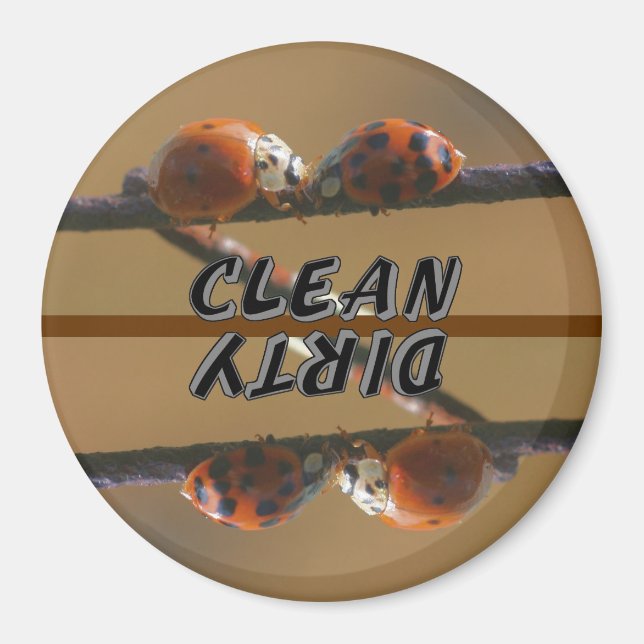 Imán Ladybug Friends Animal Dishlavaplatos (Frente)